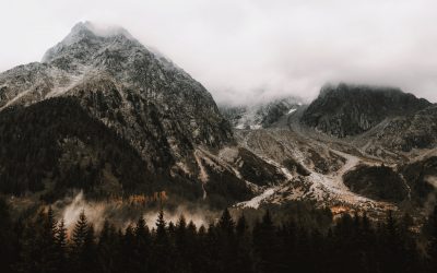 Proin interdum tincidunt urna non faucibus